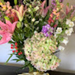 Meet your Posher, Beatriz